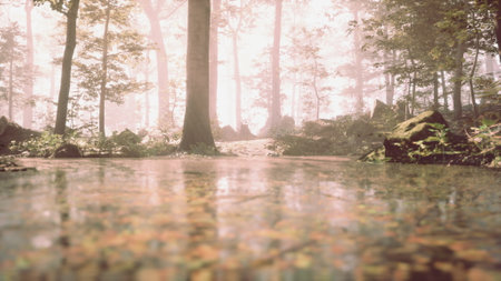 A Serene River Flowing Through a Lush Forest Canopyの写真素材