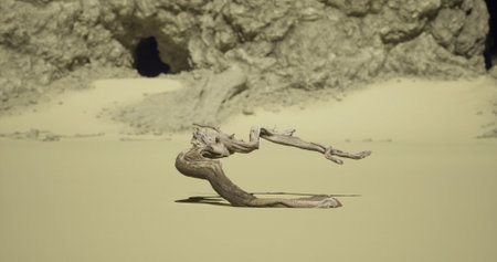 A striking driftwood piece rests on the smooth, light colored sand near a rocky area. Its twisted shape stands out against the natural backdrop, creating an artistic effect.の写真素材