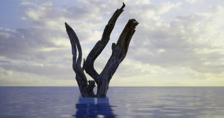 A weathered piece of driftwood stands tall in quiet ocean waters during sunset. Soft clouds stretch across the sky, reflecting warm hues of orange and purple.の写真素材
