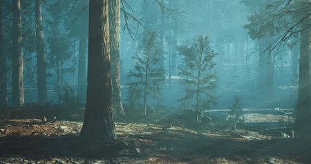 Majestic trees rise from the forest floor, shrouded in a gentle mist that catches the early morning...