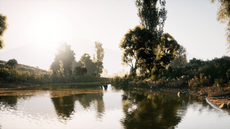A peaceful river flows gently through a vibrant landscape, surrounded by tall trees and reflecting the warm glow of the morning sun. The tranquility invites nature lovers to explore the area.の写真素材
