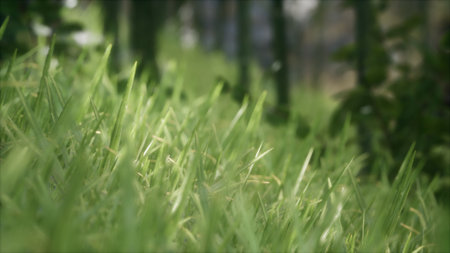 Vibrant blades of grass dance softly as a gentle breeze passes through on a sunny afternoon in a...