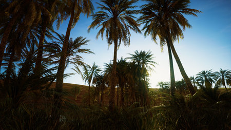 Golden sunlight filters through tall palm trees, creating a tranquil atmosphere in the lush greenery...