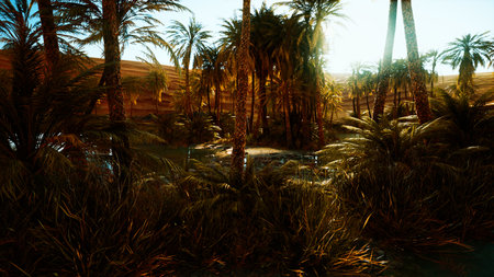 Lush palm trees surround a shimmering lagoon, bathed in the warm glow of sunset. The serene...