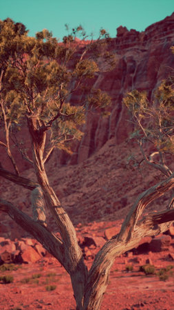 A single tree stands tall amidst the barren landscape of the Nevada desert.の写真素材