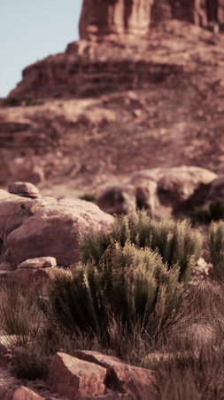 A man in motion riding a horse on a rugged hillside in the Nevada desert.の写真素材
