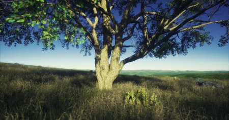 A tall, majestic tree stands alone in a lush green field during dusk, surrounded by vibrant natural scenery. The soft light creates a serene atmosphere.の写真素材