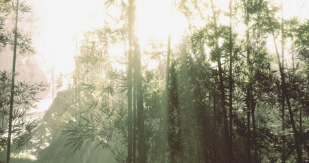 Sunlight streams through tall bamboo, creating a tranquil atmosphere. The interplay of light and...