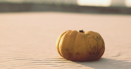A vibrant orange pumpkin sits alone on a textured sandy surface as gentle sunlight casts warm tones, creating a serene autumn atmosphere perfect for seasonal reflections and gatherings.の写真素材