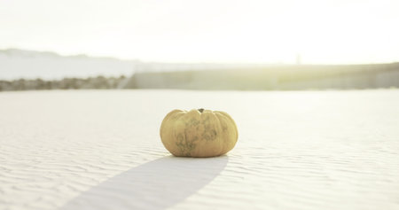 A solitary pumpkin sits on a vast expanse of fine sand, bathed in the warm glow of the evening sun. Shadows stretch across the ground as twilight approaches, creating a serene atmosphere.の写真素材