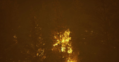 Bright flames consume a dense forest, illuminating the dark surroundings. The air is heavy with...