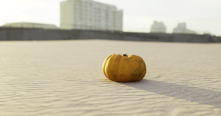 A vibrant orange pumpkin sits alone on a sunlit sandy landscape. Its textured surface contrasts with smooth grains, creating a striking focal point during the quiet dusk.の写真素材