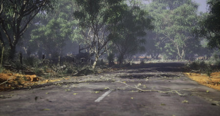After a powerful storm, branches lie scattered across an empty road. Dense trees line the sides,...
