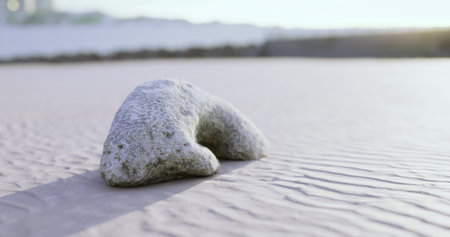 A distinctive coral formation lies on a tranquil sandy beach, illuminated by the warm afternoon sun. Gentle waves lap at the shore nearby, creating a serene atmosphere.の写真素材