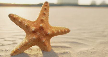 A starfish lies comfortably on golden sand as the warm hues of sunset reflect on the water. Waves gently lap at the shore, creating a peaceful atmosphere in this coastal scene.の写真素材