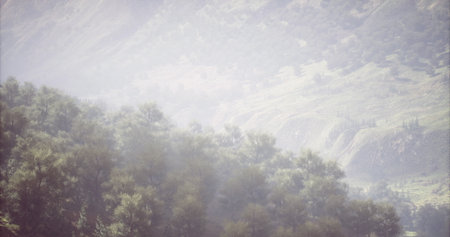 Gentle morning mist weaves through verdant hills and towering trees, creating a serene atmosphere in...