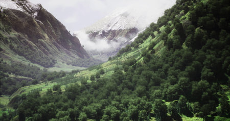 A breathtaking valley unfolds with vibrant greenery and dense trees, embraced by towering mountains. Clouds drift lazily across the sky, enhancing the serene beauty of this untouched nature.の写真素材