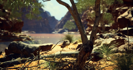 A desert landscape features textured rocks and a unique tree surrounded by sandy terrain. The warm...