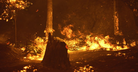 Flames engulf trees and underbrush, casting an orange glow across the forest. Smoke fills the air as...