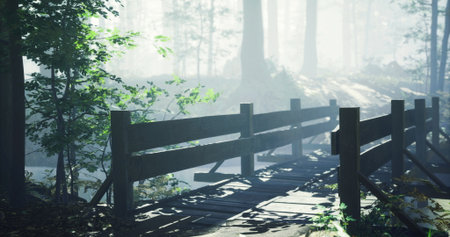 Sunlight filters through a dense forest, creating a mystical atmosphere. A wooden bridge spans a calm stream, inviting visitors to explore the serene surroundings.の写真素材