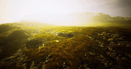 Golden light filters through a misty atmosphere over rugged terrain. Lush green grass contrasts with dark rocks, creating a serene and tranquil setting in the early morning.の写真素材