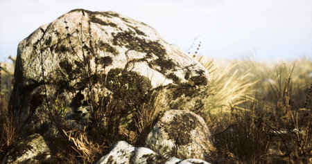 A large, moss covered rock stands prominently in a field of dry grass under soft sunlight. The landscape features a serene and natural atmosphere with minimal vegetation nearby.の写真素材