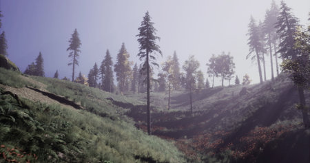 A serene hillside landscape shows tall evergreen trees surrounded by lush greenery. Soft morning light filters through the trees, highlighting the natural beauty of the scene.の写真素材