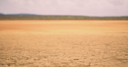 The ground is parched and cracked, showing signs of drought. A vast empty landscape stretches into the distance under a bright sky, revealing natures harsh conditions.の写真素材