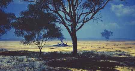 Dry, expansive landscape in the Australian Outback features scattered trees under a clear blue sky....