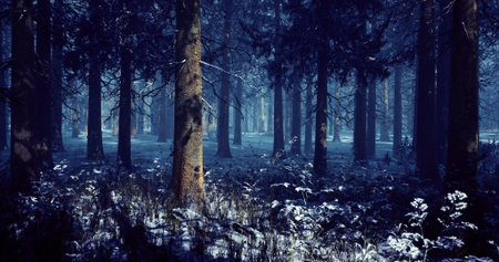 An enchanting winter forest features lush, tall trees draped in snow. Shadows cast by the fading light add a mystical ambiance to the serene landscape, creating a tranquil atmosphere.の写真素材