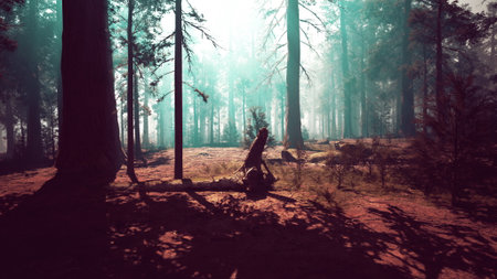 Experience the awe-inspiring beauty of a majestic sequoia forest, where an abundance of tall trees creates a breathtaking woodland landscape.の写真素材