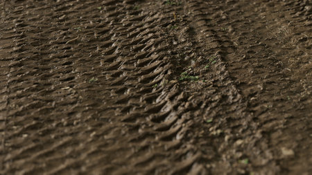 Tire tracks trace across freshly softened soil, revealing the impact of heavy machinery in a rural...