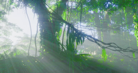 Mysterious sunlight filters through the dense canopy, illuminating vibrant greens and casting...