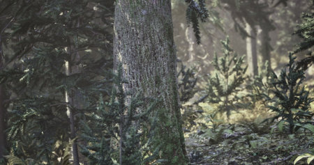 In a serene forest, sunlight gently streams through towering trees, casting dappled shadows on a...