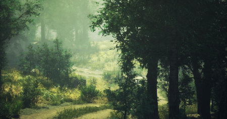 Sunlight filters gently through foliage, illuminating a winding dirt trail surrounded by dense greenery. The tranquil scene evokes a sense of peace in a serene woodland.の写真素材