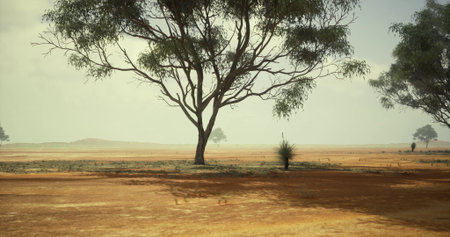 Sparse vegetation and scattered trees dominate the dry landscape, showcasing shades of brown and...