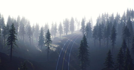A serene morning featuring a misty landscape filled with tall trees. Railway tracks wind their way...