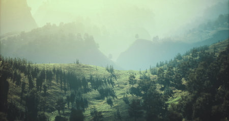 Rolling hills covered with lush greenery stretch towards the horizon, illuminated by warm sunlight...
