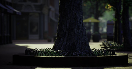 A large tree stands at the center of a tranquil park area surrounded by an ornate metal border....