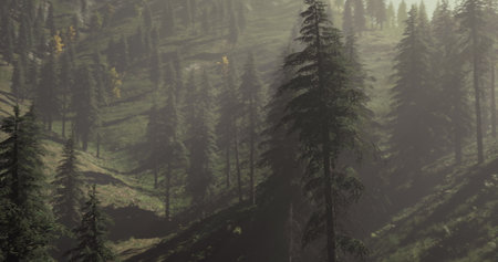 Sunlight filters through a dense forest, illuminating tall coniferous trees. The misty atmosphere...
