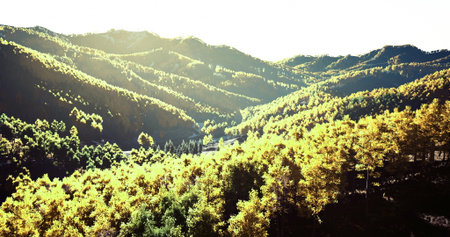 Mountain range showcases vibrant golden trees basking in sunlight. The lush greenery contrasts with...