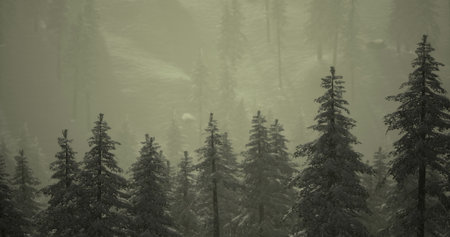 Tall evergreen trees cloak the landscape as a gentle snow falls, creating a peaceful atmosphere. The...