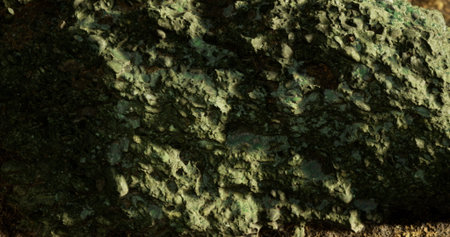 A close up of a textured green rock illuminated by the warm glow of sunlight. This natural curiosity showcases intricate details and reflections in a tranquil outdoor setting.の写真素材