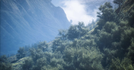 A serene vista showcasing dense green foliage clinging to the mountainside. Soft morning mist dances...