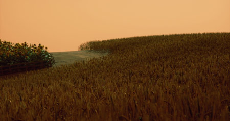 Golden fields stretch across the horizon, bathed in warm hues of sunset. Sunflowers stand proudly on...