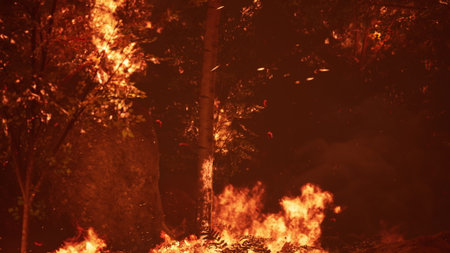 Flames consume dry foliage and trees in a dramatic display of natures power. Sparks and embers dance...