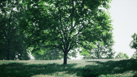 A lone tree in a grassy field with trees in the background