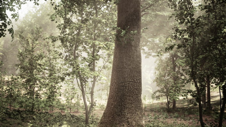 A Majestic Oak Standing Tall Amidst the Enchanting Woodlands of the British Countryside