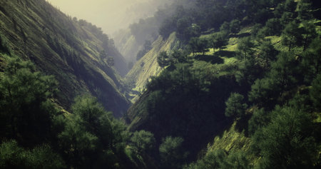 A serene valley filled with vibrant green foliage stretches between steep hills, illuminated by soft...