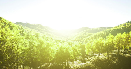 Bright sunlight filters through a dense forest, highlighting vibrant green trees and rolling hills. The landscape evokes a serene and tranquil atmosphere in natures beauty.の写真素材